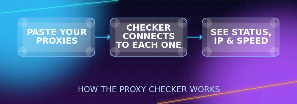 Flow diagram showing proxies being pasted, checked, and results returned